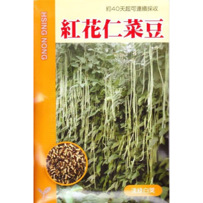四季園 紅花仁菜豆 【蔬果種子】興農牌 中包裝種子 每包約5公克