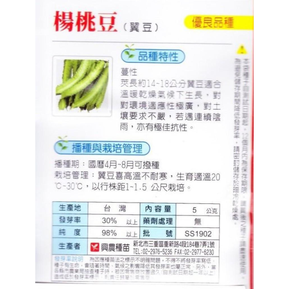 四季園 楊桃豆(翼豆)【蔬果種子】 興農牌 中包裝種子 每包約5公克-細節圖2