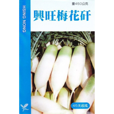 四季園 白蘿蔔(興旺 梅花矸) 【蘿蔔類種子】興農牌中包裝 每包約3ml