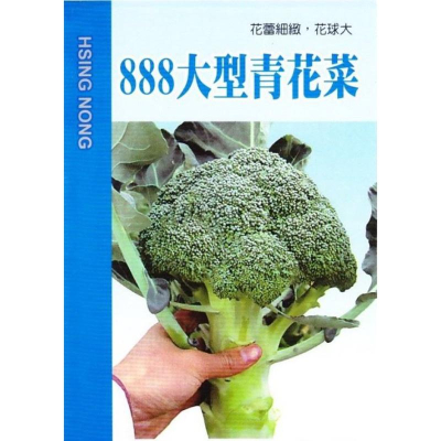 四季園 青花菜 888大型青花菜 綠色花椰菜【蔬果種子】興農牌 中包裝種子 每包約1公克