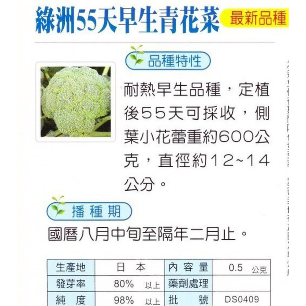 四季園 綠洲55天早生青花菜 【蔬果種子】興農牌 中包裝種子 每包約0.5ml-細節圖2