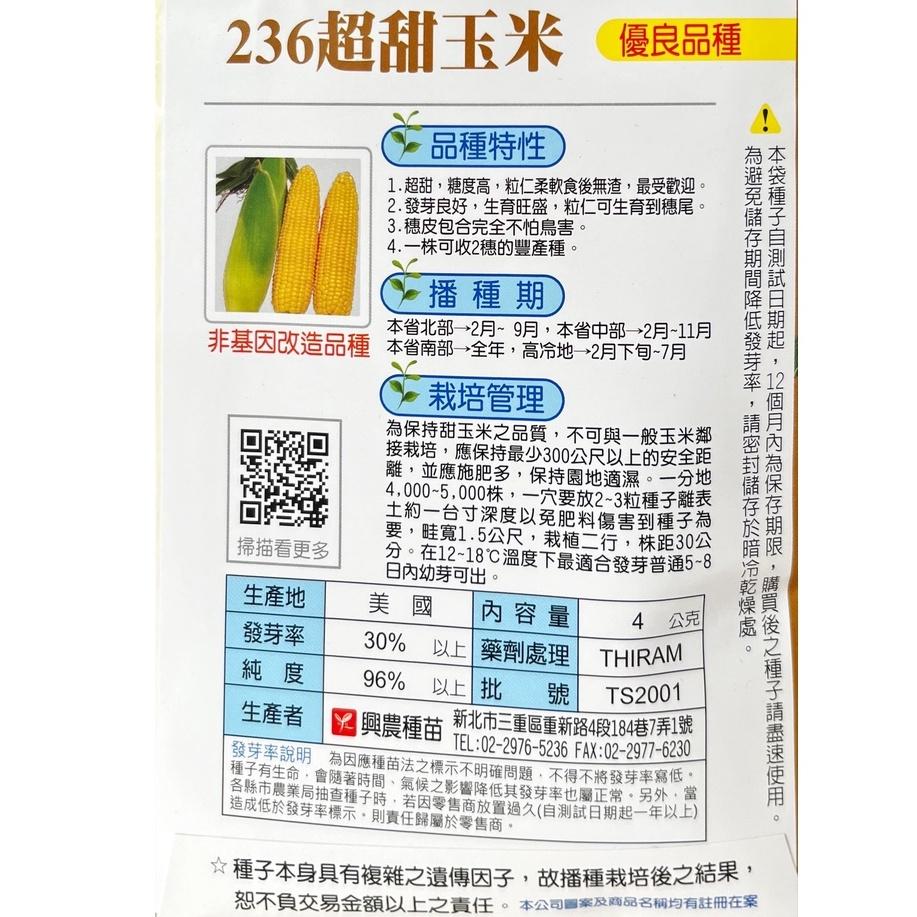 四季園 236超甜玉米(矮性品種) 【蔬果種子】興農牌 每包約4公克-細節圖2