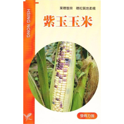 四季園 紫玉玉米 【蔬果種子】興農牌 中包裝種子 每包2ml