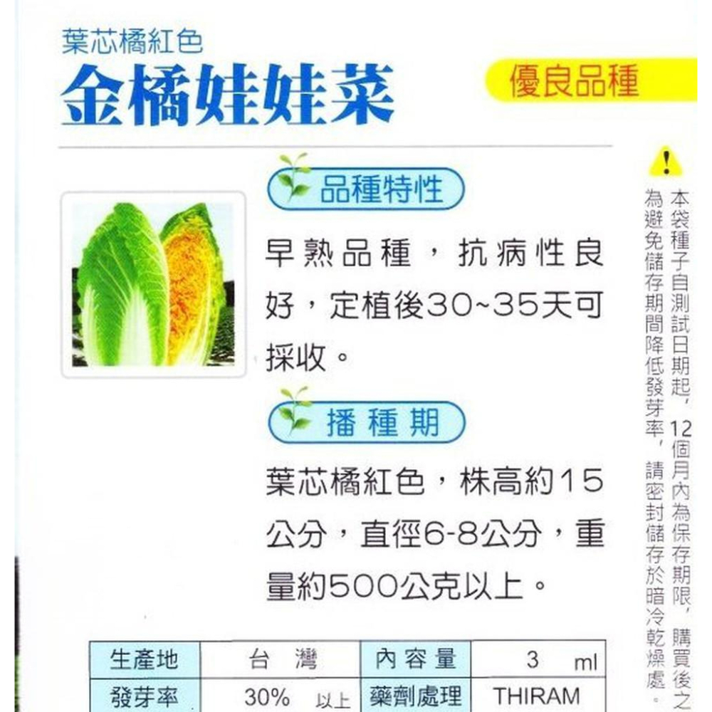 四季園 金橘娃娃菜(迷你翠玉白菜) 【蔬果種子】興農牌中包裝 每包約3ml 葉芯橘紅色 早熟品種-細節圖2