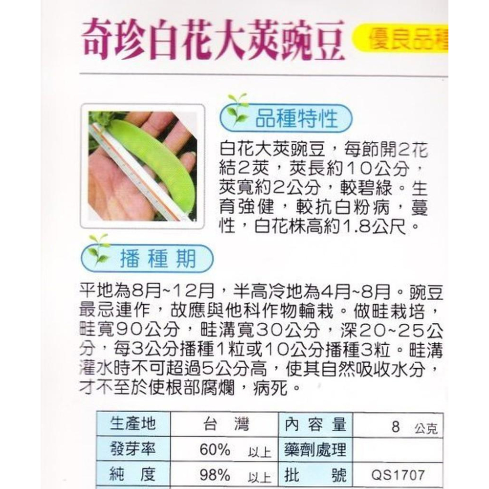 四季園 白花大莢豌豆（奇珍）【蔬果種子】興農牌 每包約8公克-細節圖2