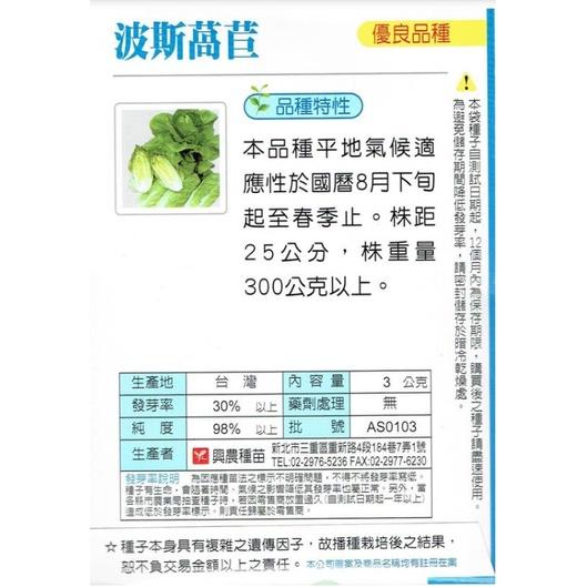 四季園 波斯萵苣【興農種苗】蘿蔓直立萵苣 萵苣原包裝種子 每包約3公克 新鮮種子-細節圖2