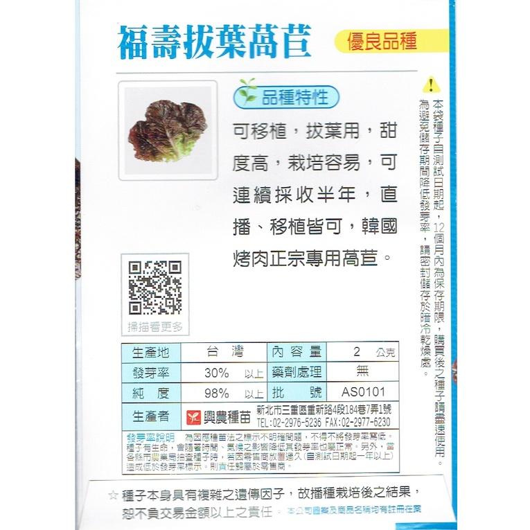 四季園 福壽拔葉萵苣(紅葉) 【興農種苗】萵苣原包裝種子 每包約2公克 新鮮種子-細節圖2
