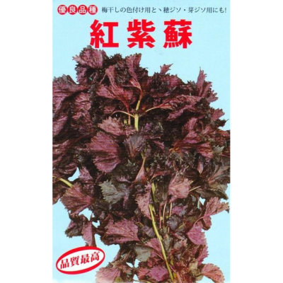 四季園 日本進口 紅紫蘇 【蔬果種子】 (分包裝種子) 介意者請勿下標 蔬果種子每包約100粒 可食用 製作紫蘇梅…