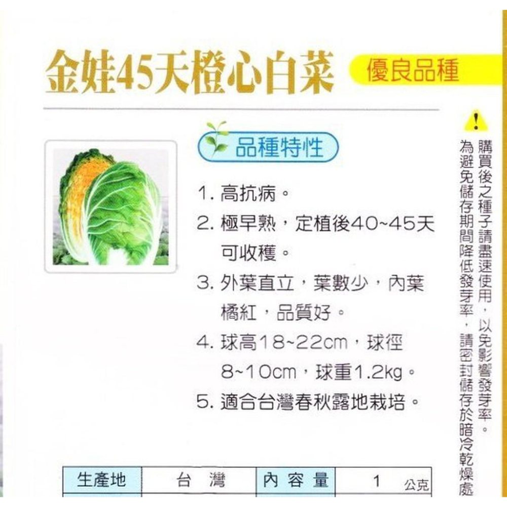 四季園 橙心白菜(金娃45天．大白菜) 【白菜類種子】興農牌中包裝 每包約1公克-細節圖2
