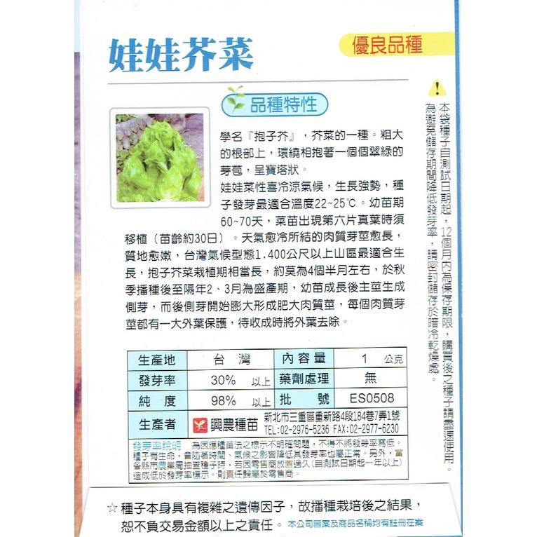 四季園 娃娃芥菜 【興農種子】抱子芥菜 芥菜類原包裝種子  每包約1公克 新鮮種子-細節圖2