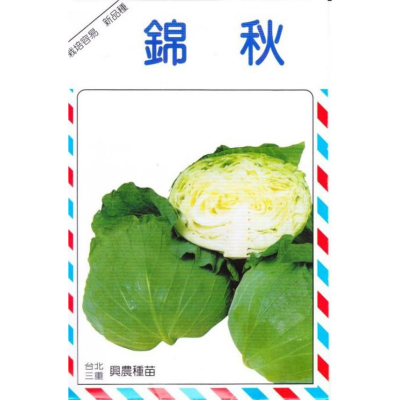 四季園 甘藍 高麗菜(錦秋) 【甘藍類種子】興農牌中包裝 每包約1公克