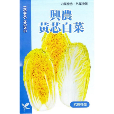 四季園 黃芯白菜 【白菜類種子】興農牌中包裝 每包約1公克