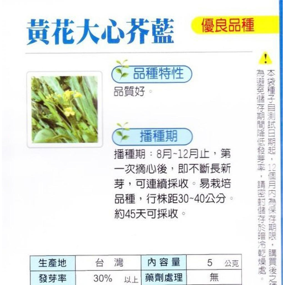 四季園 芥藍 芥蘭 (黃花大心芥藍) 【甘藍類種子】興農牌中包裝 每包約5公克-細節圖2