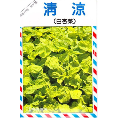 四季園 白杏菜(清涼．夏天開胃菜) 【蔬果種子】興農牌中包裝 每包約15公克