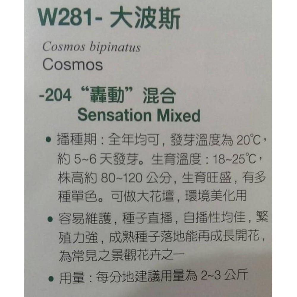 大波斯菊 【花海種子】花海大波斯菊 300公克/包-細節圖2