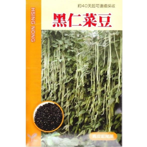四季園 黑仁菜豆 1台斤(約0.6公斤)裝/包 興農種苗大包裝蔬菜種子