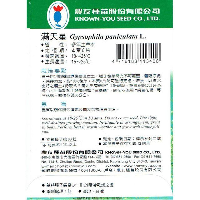四季園 滿天星【花卉種子】農友牌 小包裝種子-細節圖2