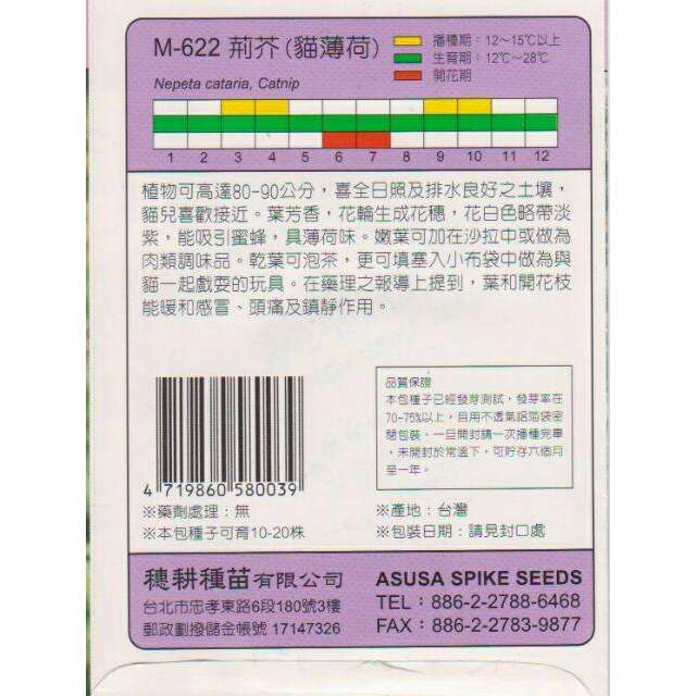 四季園 荊芥【香藥草種子】天星牌 小包裝種子-細節圖2