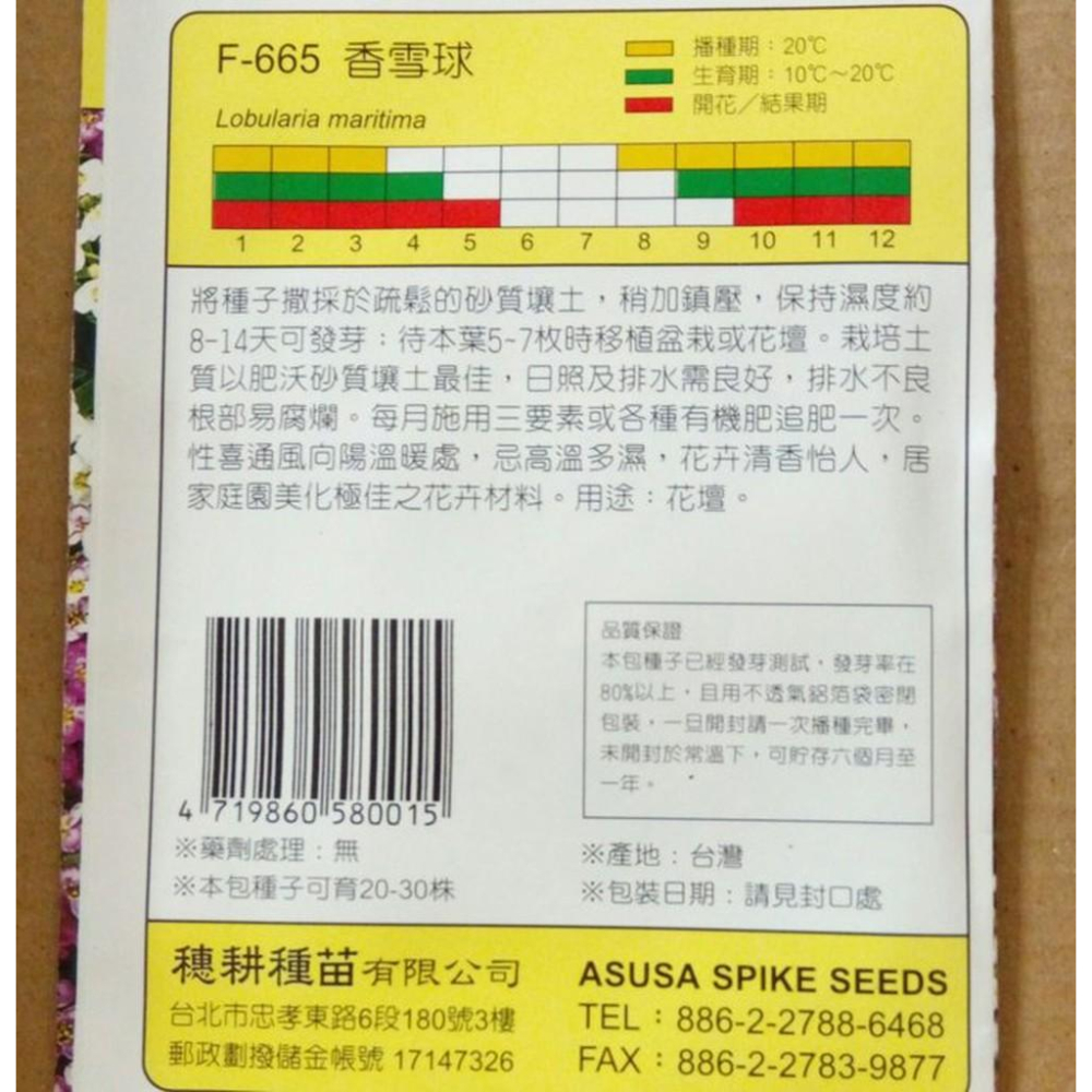四季園 香雪球【花卉種子】 天星牌 花卉小包裝種子 約650粒/包-細節圖2