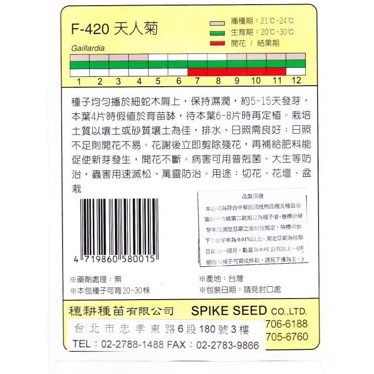 四季園 天人菊 【穗耕種苗】天星牌 花卉原包裝種子 新鮮種子-細節圖2