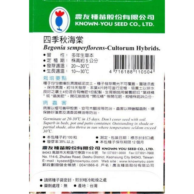 四季園 四季秋海棠【花卉種子】 混合色 農友牌 小包裝種子100粒/包-細節圖2