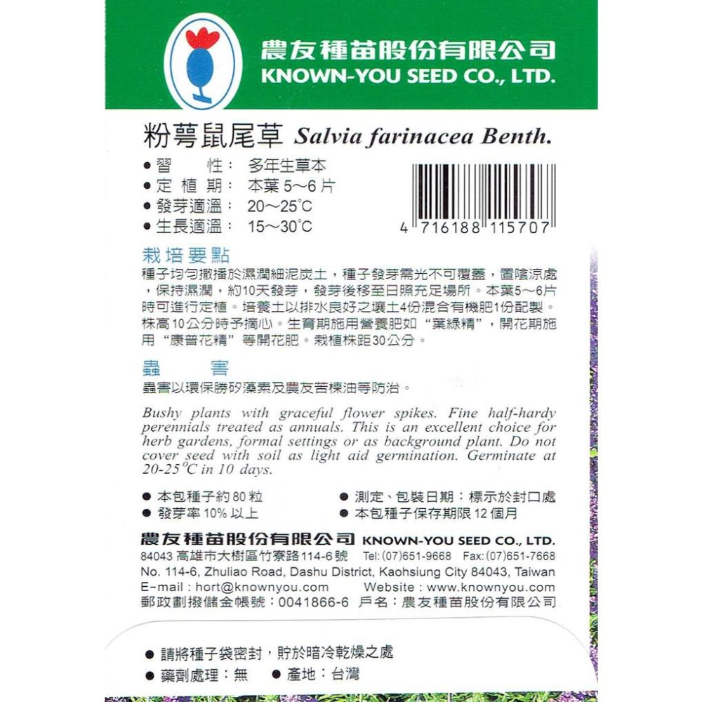 四季園 粉萼鼠尾草 Salvia【農友種苗】花卉種子 原包裝種子 約80粒/包-細節圖2