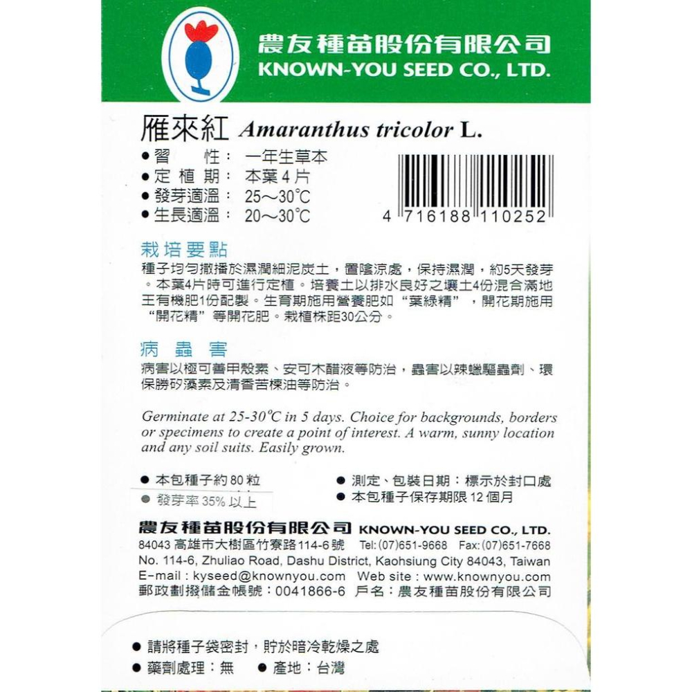 四季園 雁來紅【農友種苗】花卉原包裝種子 約80粒/包 新鮮種子-細節圖2