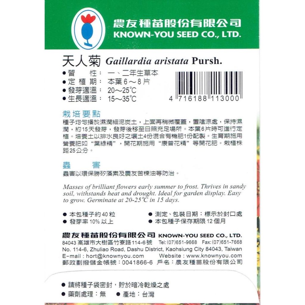 四季園 天人菊【農友種苗】花卉原包裝種子 約40粒/包 新鮮種子-細節圖2