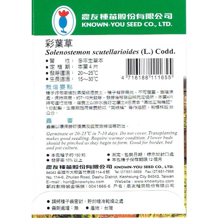 四季園 彩葉草【農友種苗】花卉原包裝種子 約150粒/包 新鮮種子-細節圖2