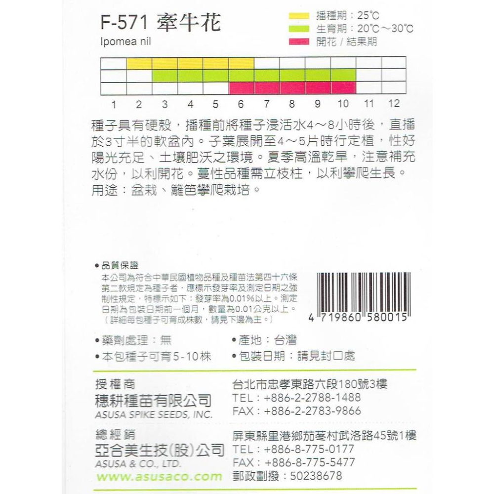 四季園 牽牛花【穗耕種苗】天星牌 花卉原包裝種子 花語:稍縱即逝，沒有結果的愛情   新鮮種子-細節圖2