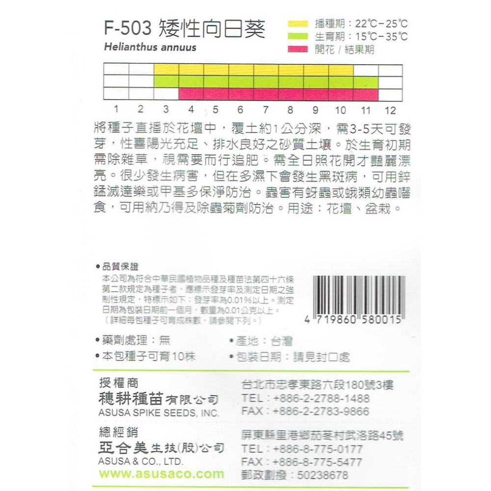 矮性向日葵 【穗耕種苗】天星牌 花卉原包裝種子  花語：愛慕  保證新鮮種子-細節圖2