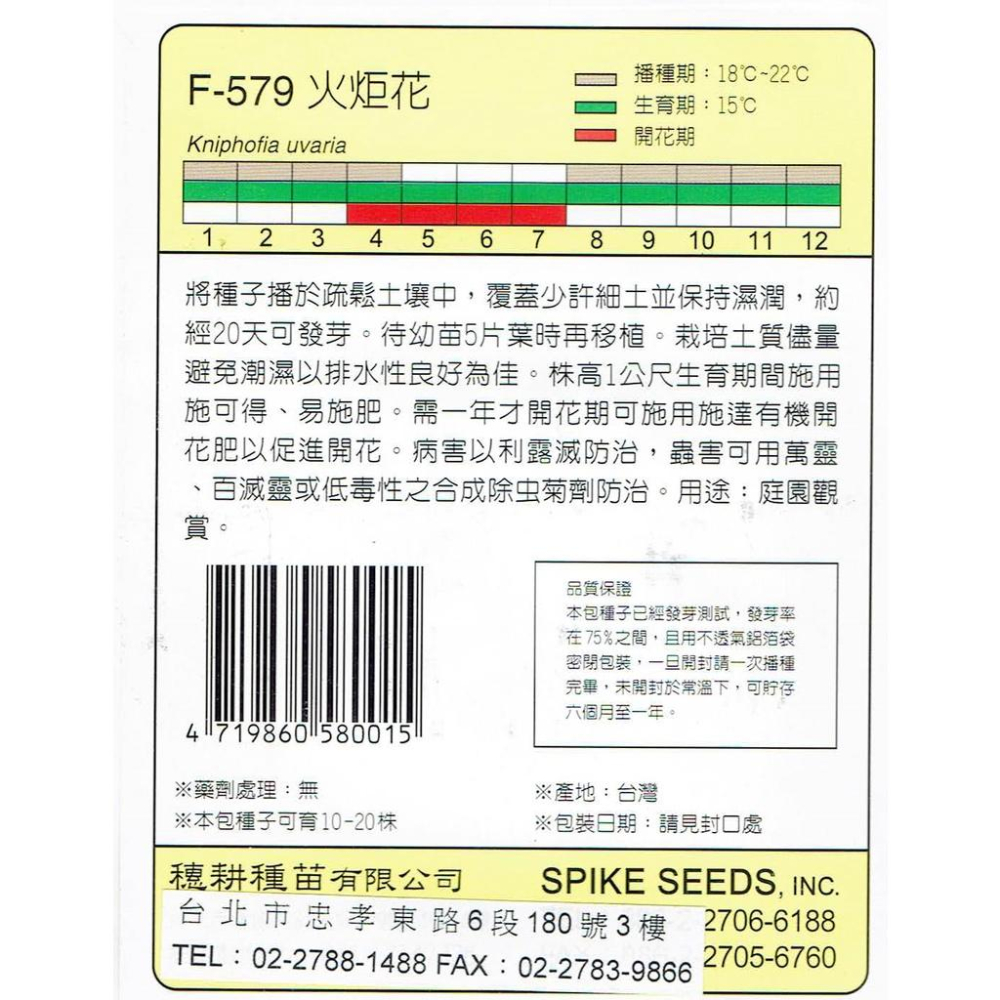 四季園 火炬花【穗耕種苗】天星牌 花卉原包裝種子   花語:熱情、光明、有幹勁，思念之苦  保證新鮮種子-細節圖2