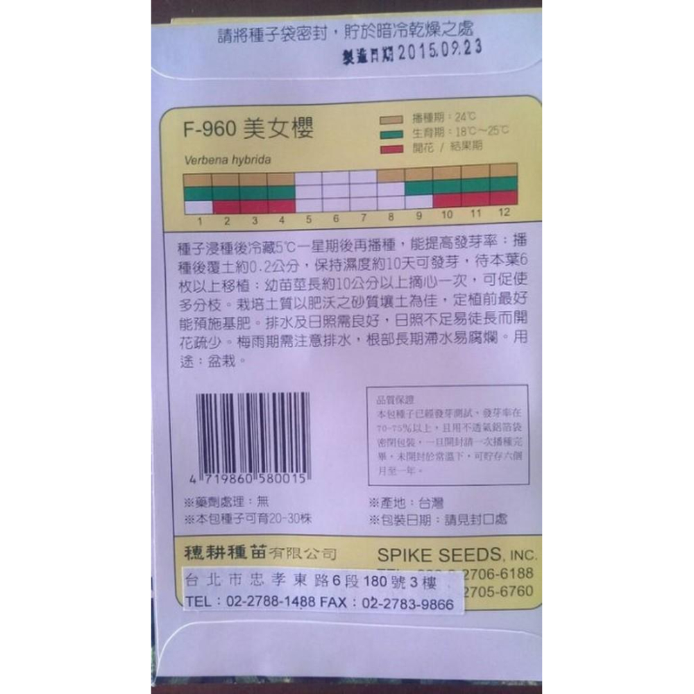 美女櫻【花卉種子】天星牌 小包裝種子 花卉 香料 香草 蔬菜 種子－美女櫻-細節圖2