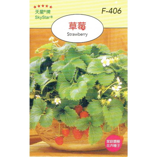 四季園 草莓【穗耕種苗】天星牌 小包裝種子 蔬菜種子 新鮮種子