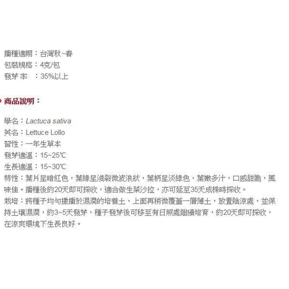 蘿拉萵苣【農友種苗】貝比菜 蘿拉蒿苣 baby菜 種子 台灣播種期秋至春季 20天即可採收 辦公室或單身的最佳選擇-細節圖3
