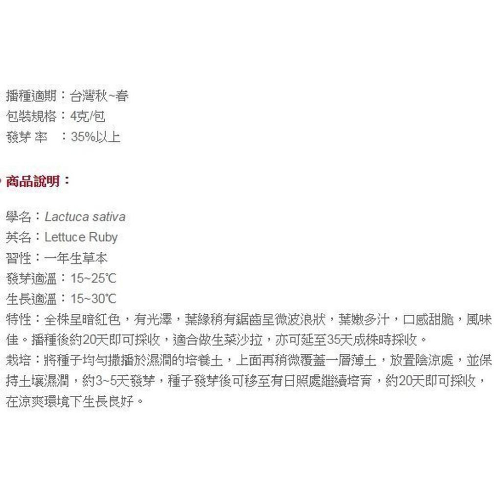 紅寶石萵苣【農友種苗】貝比菜 紅寶石萵苣 baby菜 種子 播種期春-秋季 20天即可採收 辦公室或單身的最佳選擇-細節圖3