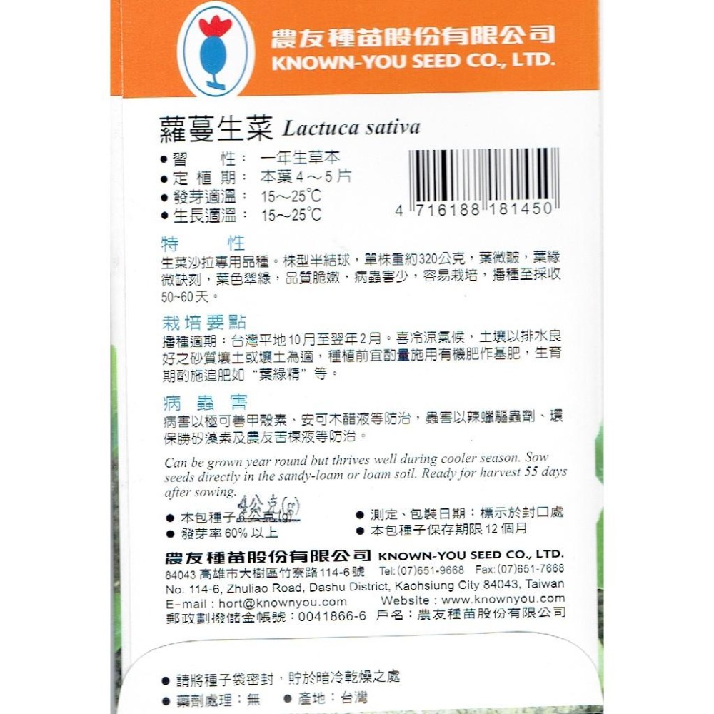 蘿蔓生菜【農友種苗】農友種苗 蘿蔓生菜(特選種子) 蔬菜種子  每包約4公克(g) 保證新鮮種子-細節圖2