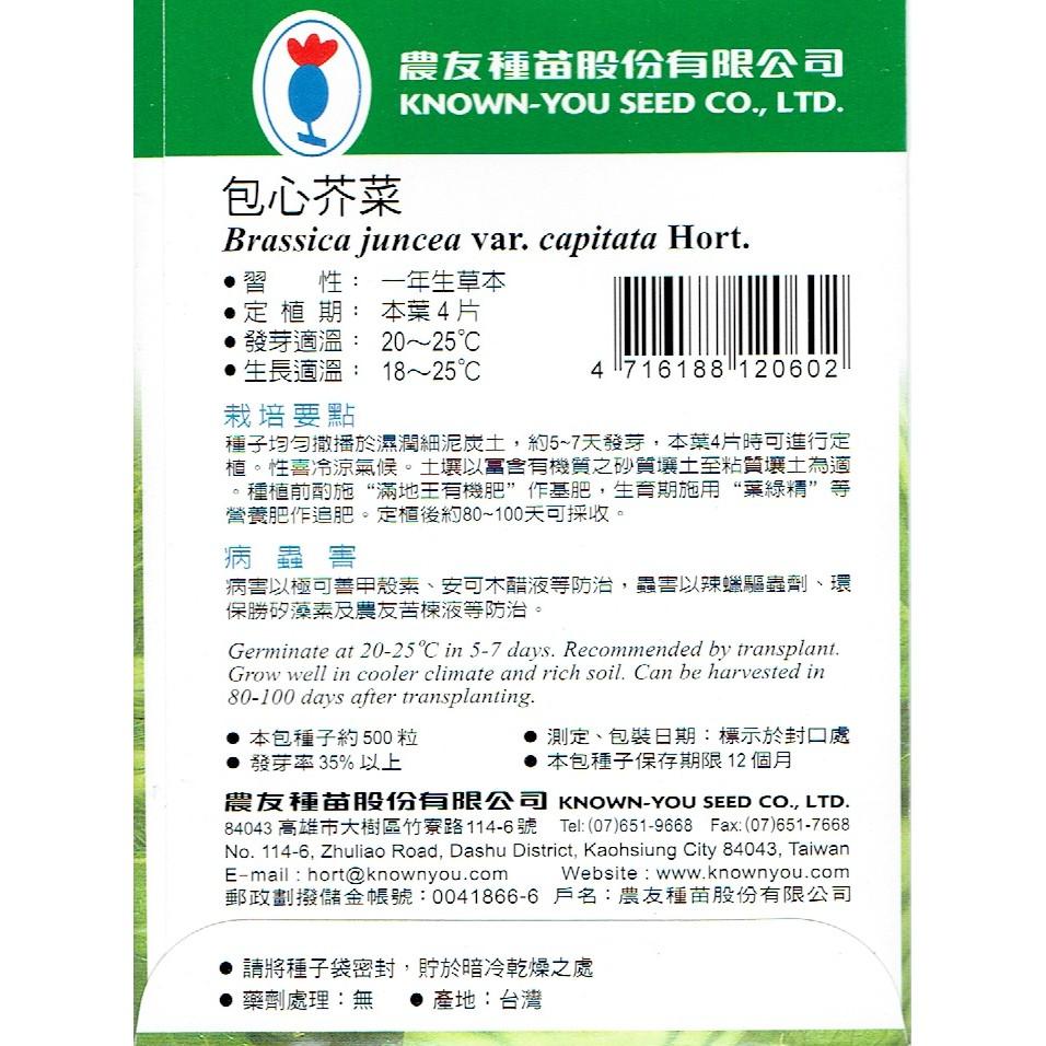 包心芥菜 【農友種苗】農友種苗 又名大芥菜、水鹹菜 俗稱刈菜 蔬菜種子  每包約500粒 保證新鮮種子-細節圖2