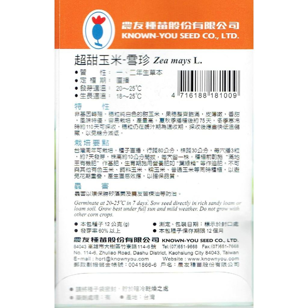超甜玉米-雪珍 【蔬果種子】農友種苗 ＂特選種子＂ 花卉 蔬菜 水果 香藥 - 超甜玉米 雪珍-細節圖2