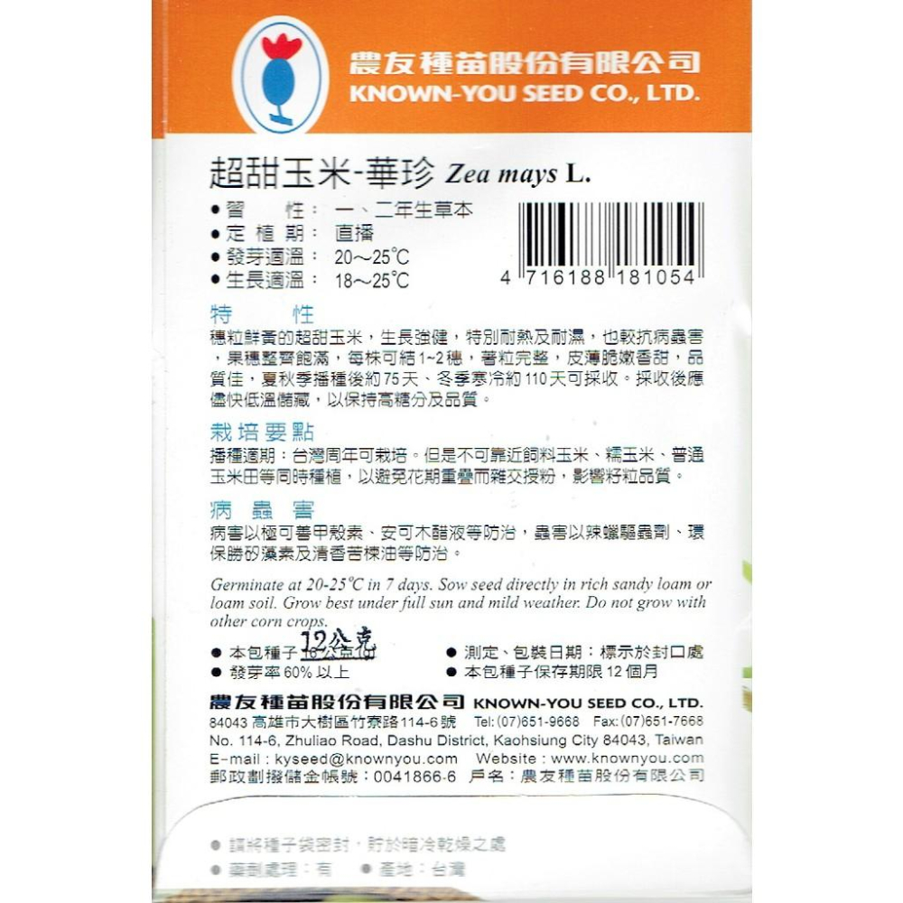 超甜玉米-華珍  【蔬果種子】 農友種苗 ＂特選種子＂ 花卉 蔬菜 水果 香藥 -  超甜玉米 華珍-細節圖2