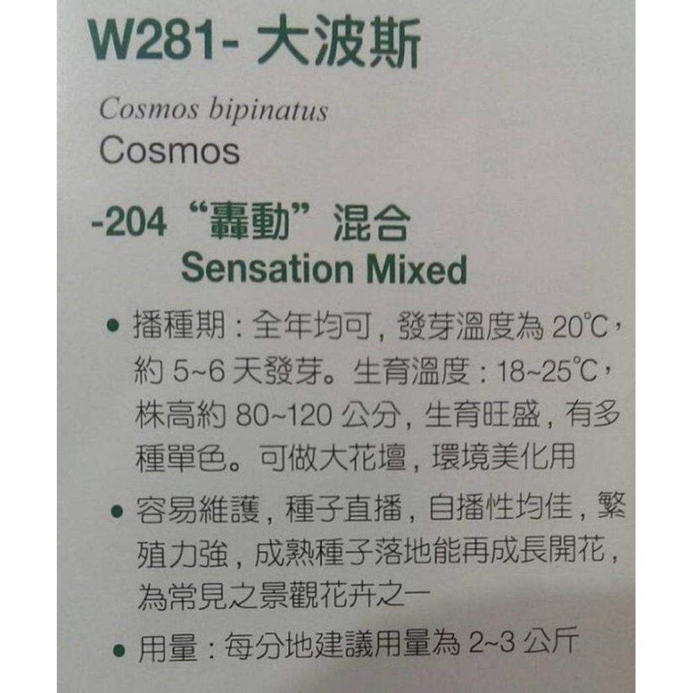 大波斯菊 【花海種子】大波斯菊種子 花海大波斯菊種子 每包1公斤裝 保證當季進口種子 發芽率高-細節圖3