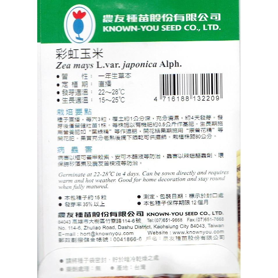 彩虹玉米【農友種苗】農友種苗 蔬菜種子 每包約15粒 保證新鮮種子-細節圖2