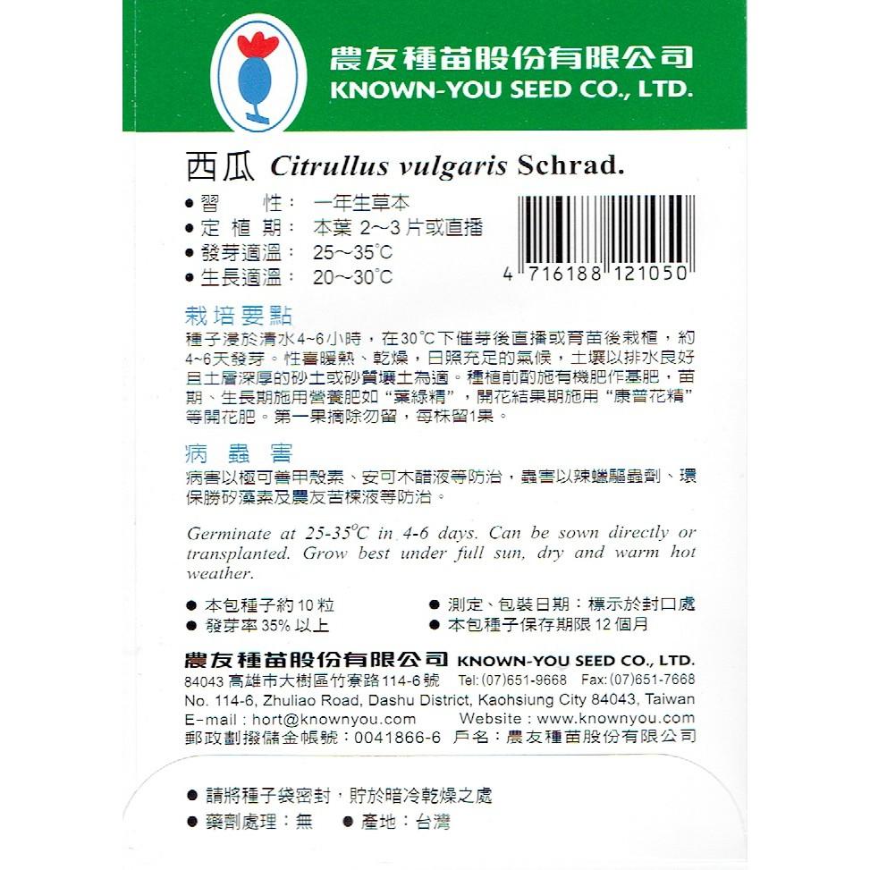 四季園 西瓜 大果 Watermelon【農友種苗】 紅肉 蔬果原包裝種子 約10粒/包 新鮮種子-細節圖2
