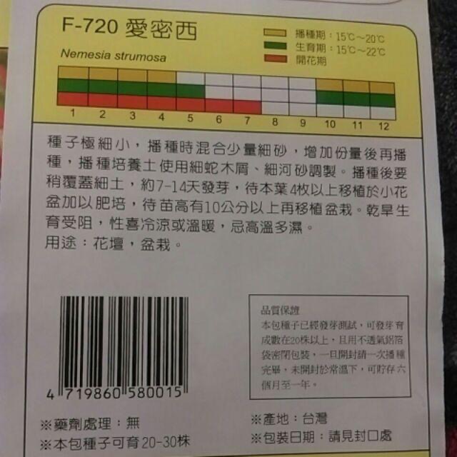 四季園  愛密西 花卉種子 天星牌 小包裝種子-細節圖2