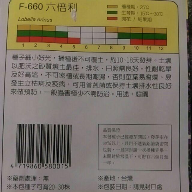四季園  六倍利 花卉種子天星牌 小包裝種子-細節圖2