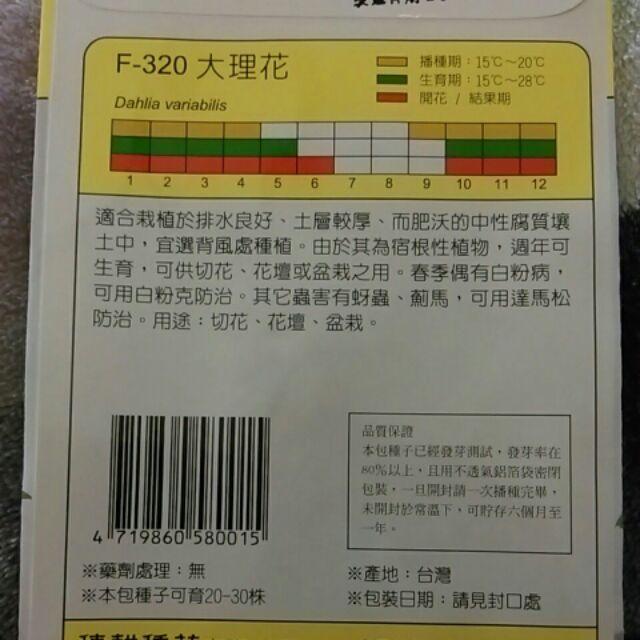 四季園  大理花【花卉種子】天星牌 小包裝種子-細節圖2