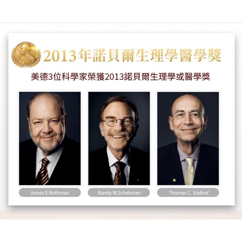 快樂小舖-大立美 管路立刻 管路立克 韭菜籽 SES319 酵母發酵物 紅蚯蚓粉萃取-細節圖11