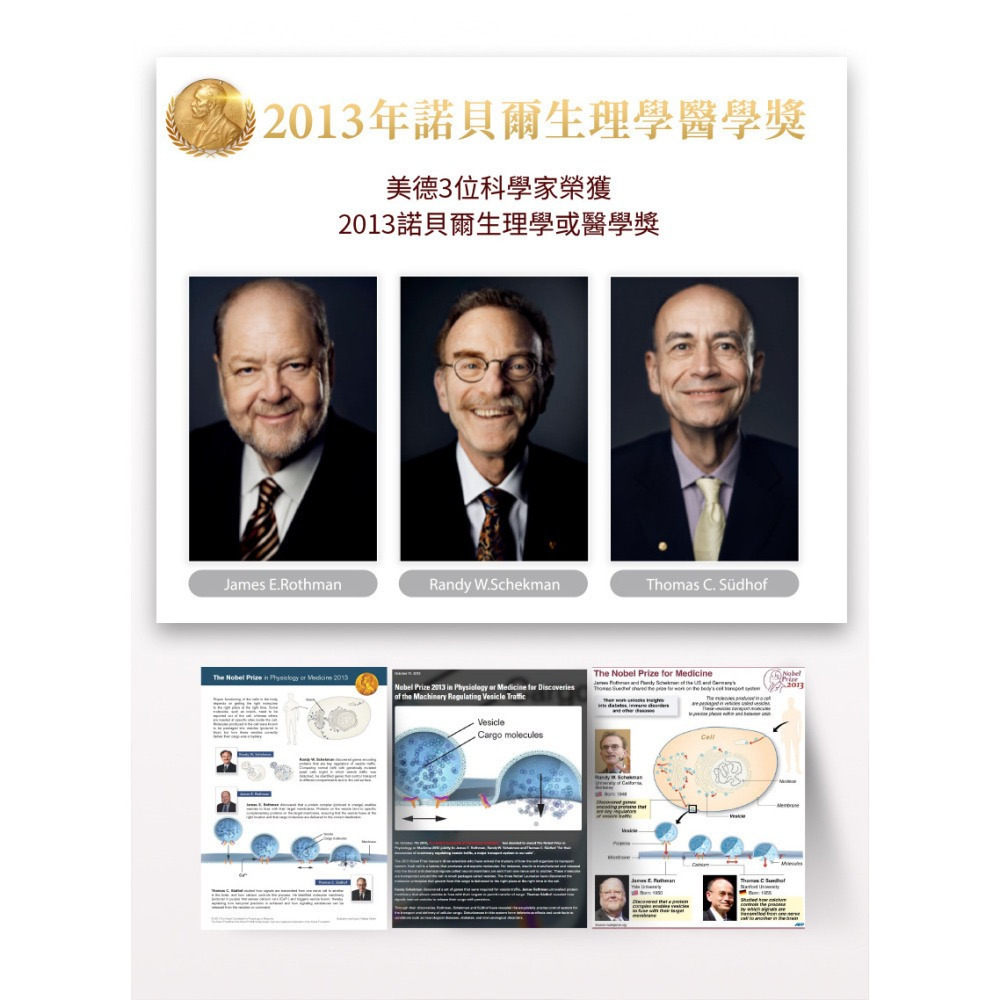 快樂小舖-大立美 線條立克 線條立刻 SES319 酵母發酵物 益生菌 紫茶萃取 動物雙歧桿菌亞乳種、鼠李糖乳桿菌-細節圖5