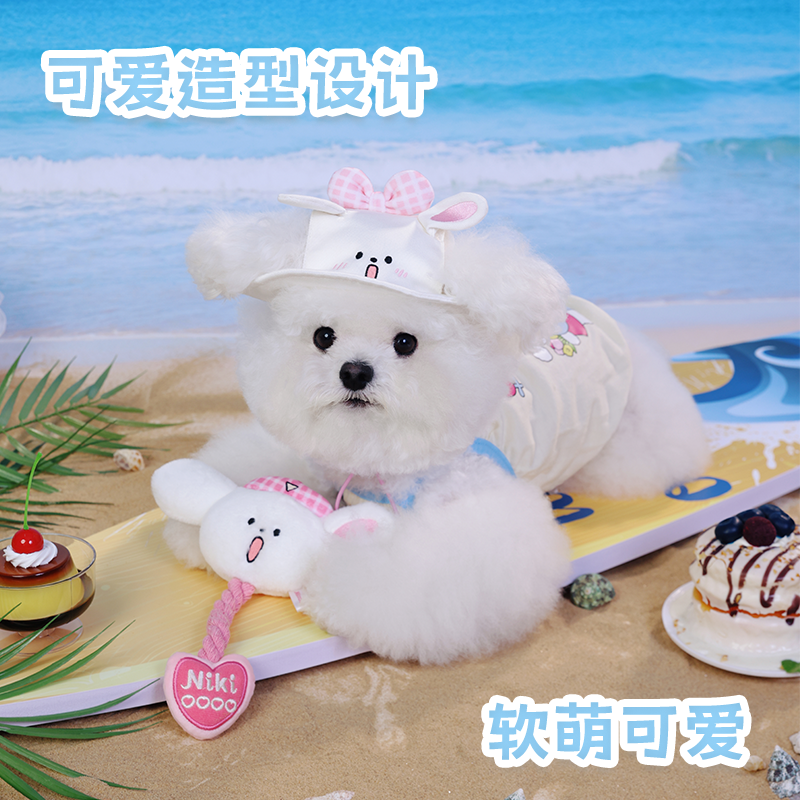 【限時購】正版 寶可夢 寵物玩具 狗咬棒 逗貓棒 寵物咬繩 寵物互動 小菜狗 送禮 【覓嗷】-細節圖6