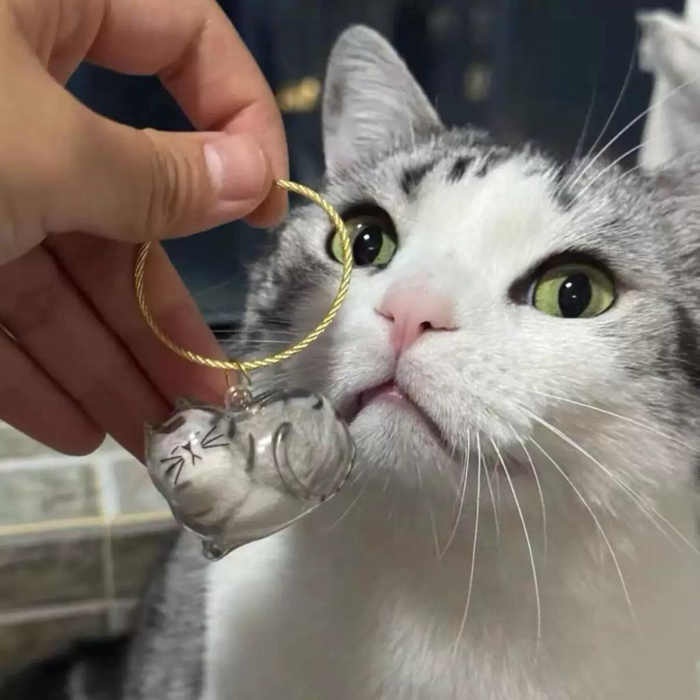 Meow acc【台灣現貨】貓毛收集盒 貓咪毛收集 貓毛搜集器 貓毛收納 貓毛罐鑰匙圈 貓咪吊飾 貓毛收納瓶 貓咪造型罐-細節圖6